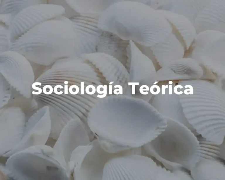 Sociología Teórica