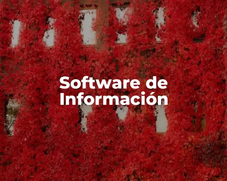 Software de Información