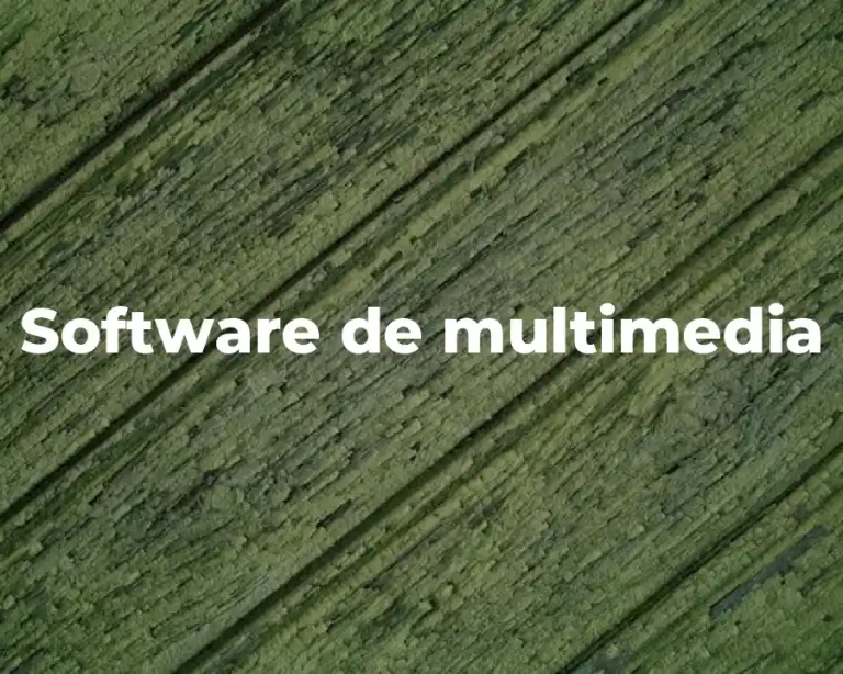 Software de multimedia