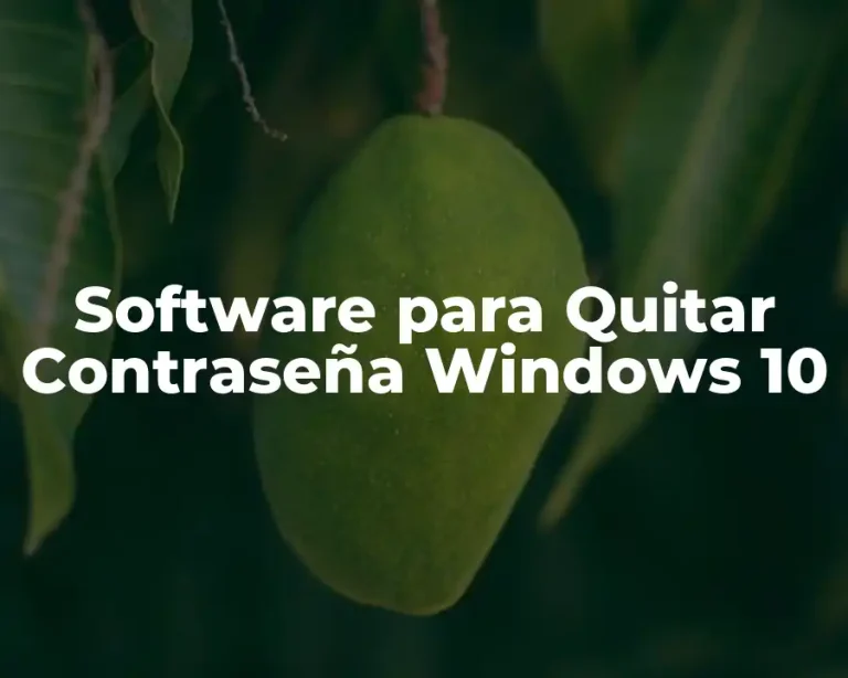 Software para Quitar Contraseña Windows 10