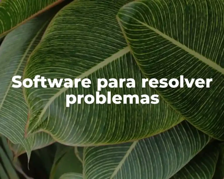 Software para resolver problemas