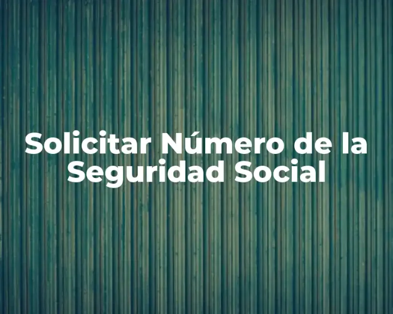 Solicitar Número de la Seguridad Social