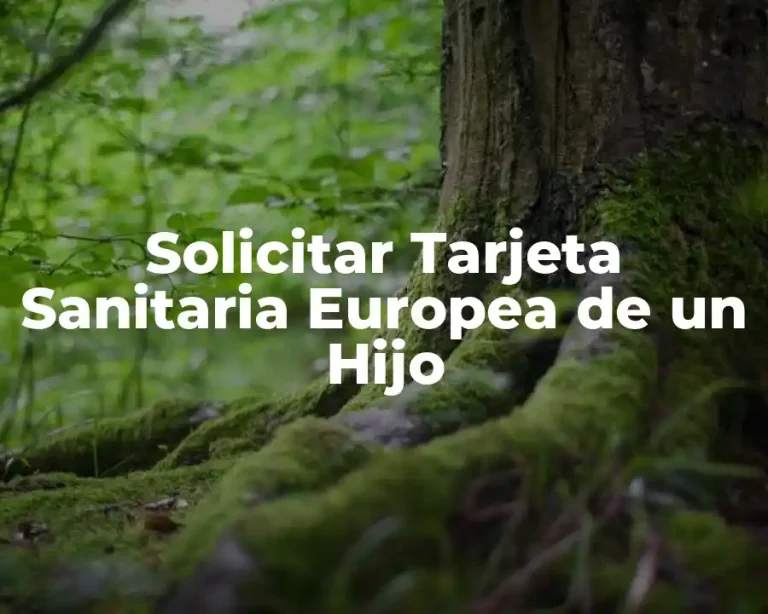 Solicitar Tarjeta Sanitaria Europea de un Hijo