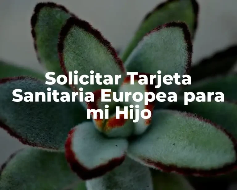 Solicitar Tarjeta Sanitaria Europea para mi Hijo