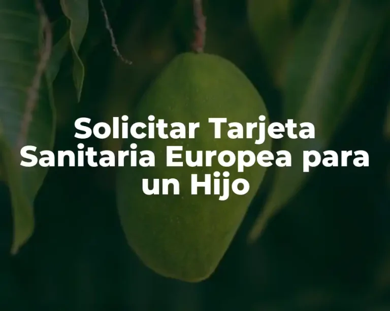 Solicitar Tarjeta Sanitaria Europea para un Hijo