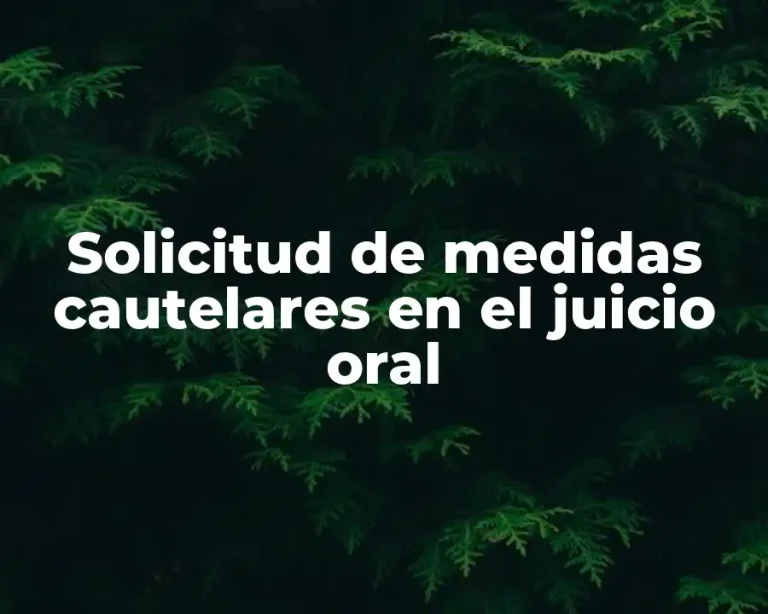 Solicitud de medidas cautelares en el juicio oral
