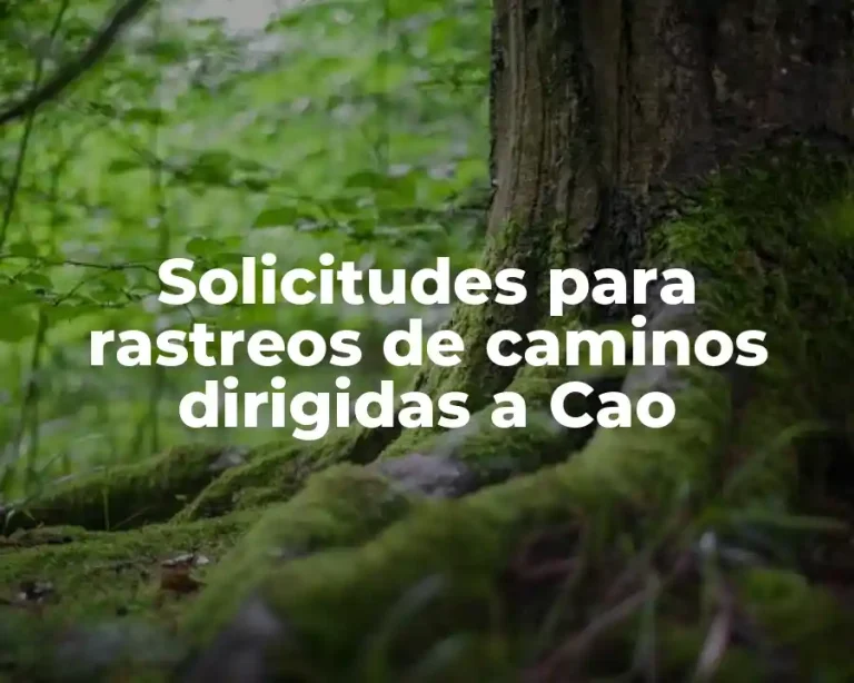 Solicitudes para rastreos de caminos dirigidas a Cao