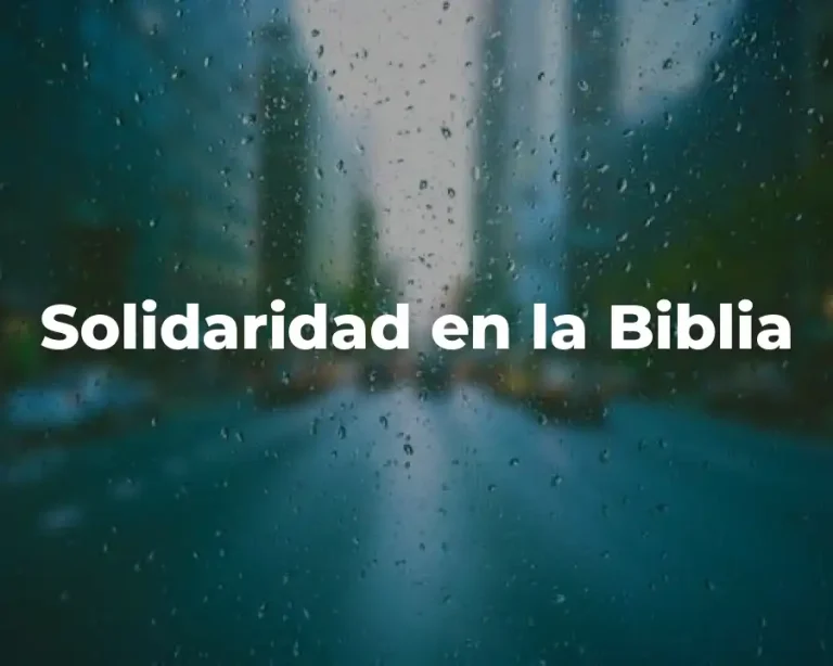 Solidaridad en la Biblia