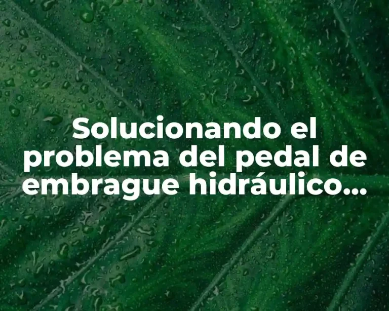 Solucionando el problema del pedal de embrague hidráulico que se queda abajo