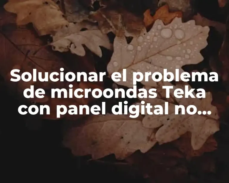 Solucionar el problema de microondas Teka con panel digital no funciona