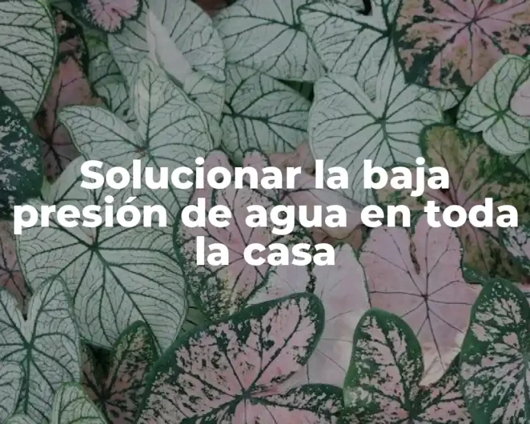 Solucionar la baja presión de agua en toda la casa