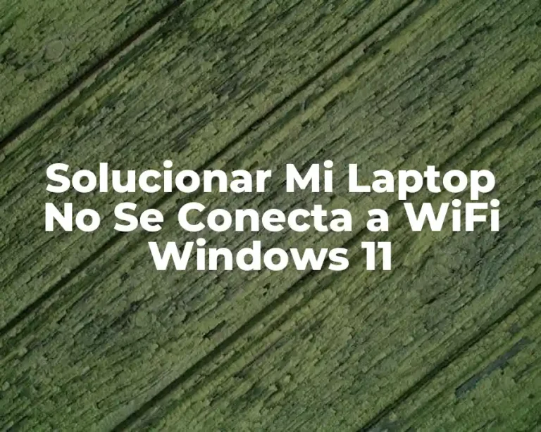 Solucionar Mi Laptop No Se Conecta a WiFi Windows 11