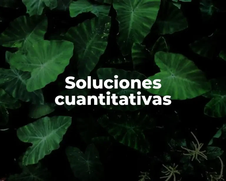 Soluciones cuantitativas