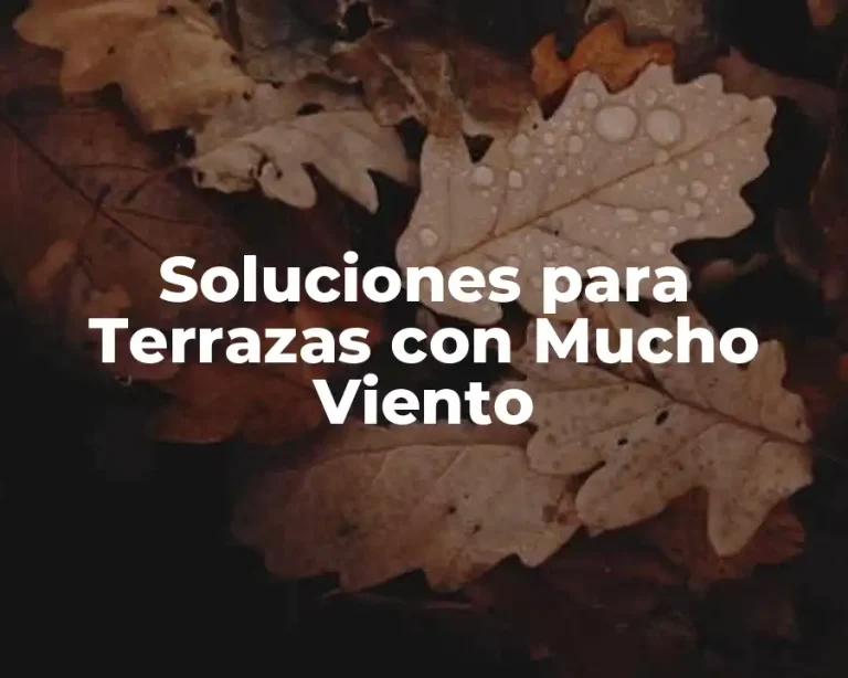 Soluciones para Terrazas con Mucho Viento