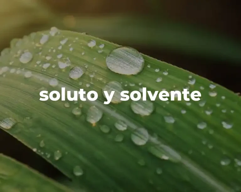 soluto y solvente