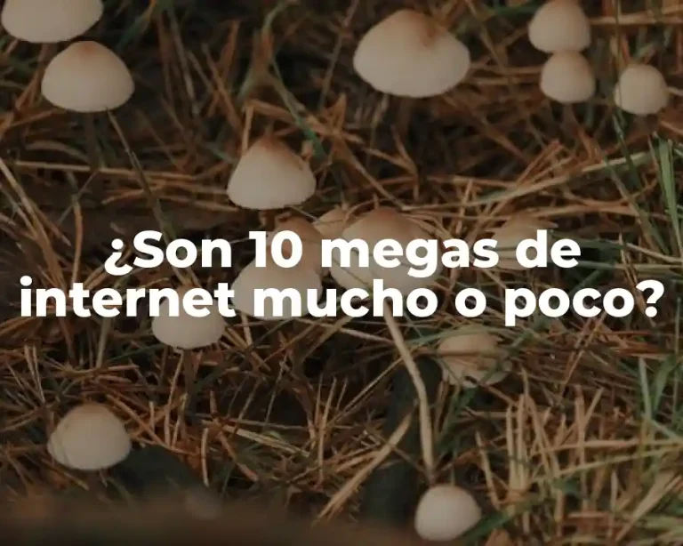 ¿Son 10 megas de internet mucho o poco?