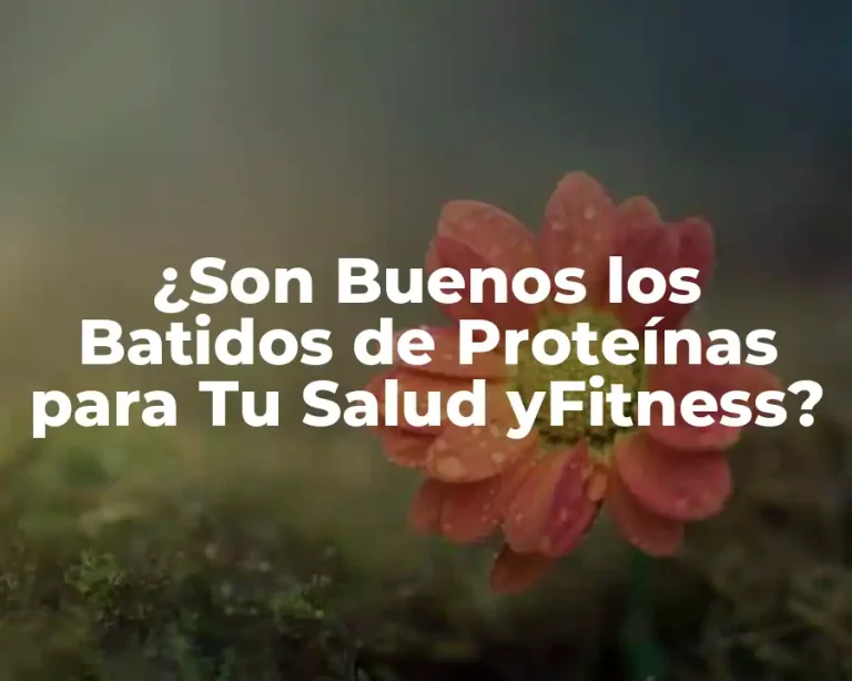 ¿Son Buenos los Batidos de Proteínas para Tu Salud yFitness?