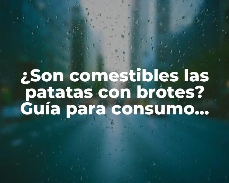 ¿Son comestibles las patatas con brotes? Guía para consumo seguro