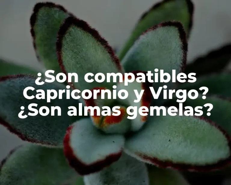 ¿Son compatibles Capricornio y Virgo? ¿Son almas gemelas?
