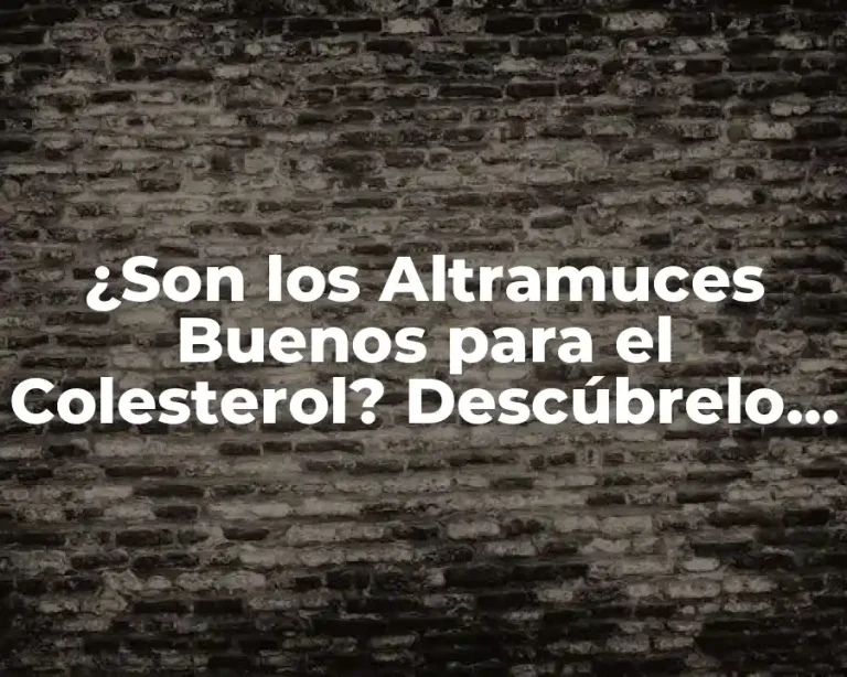 ¿Son los Altramuces Buenos para el Colesterol? Descúbrelo Aquí