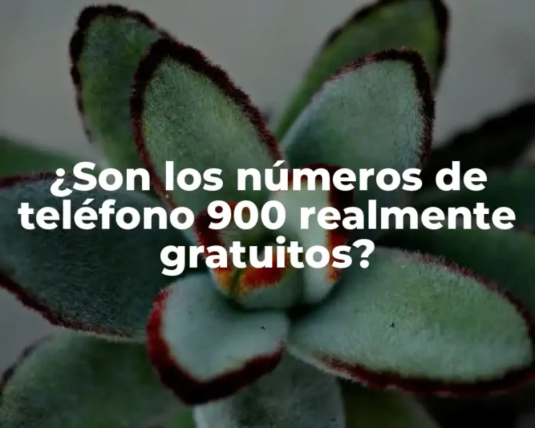 ¿Son los números de teléfono 900 realmente gratuitos?
