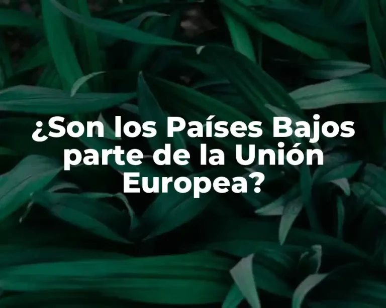 ¿Son los Países Bajos parte de la Unión Europea?