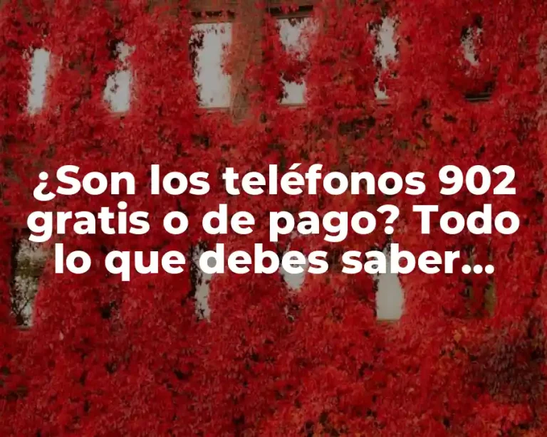 ¿Son los teléfonos 902 gratis o de pago? Todo lo que debes saber sobre los números 902