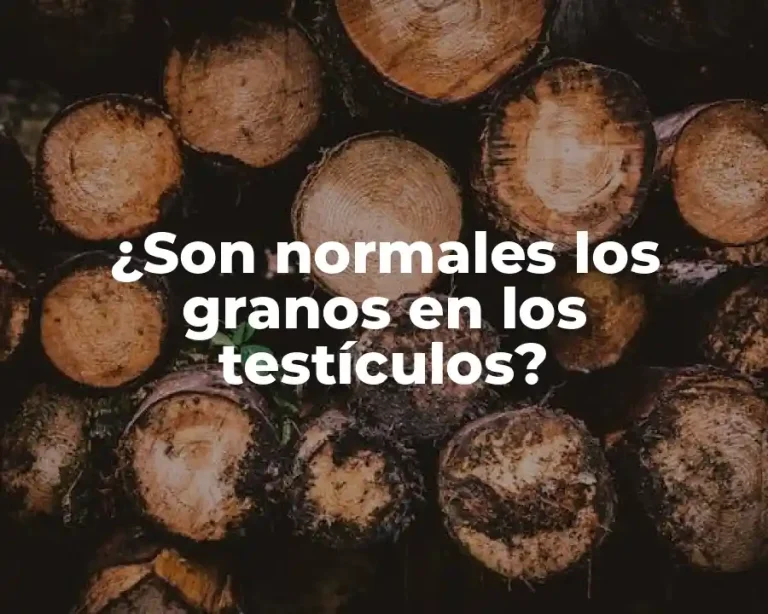 ¿Son normales los granos en los testículos?