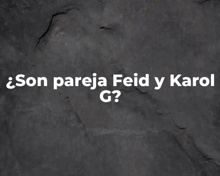 ¿Son pareja Feid y Karol G?