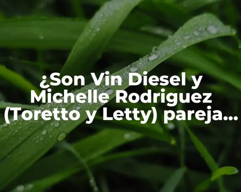 ¿Son Vin Diesel y Michelle Rodriguez (Toretto y Letty) pareja en la vida real?