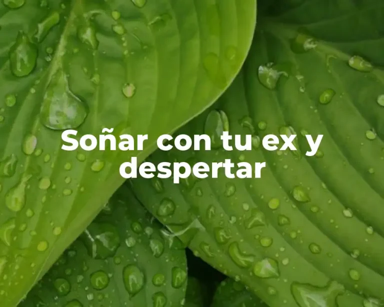 Soñar con tu ex y despertar