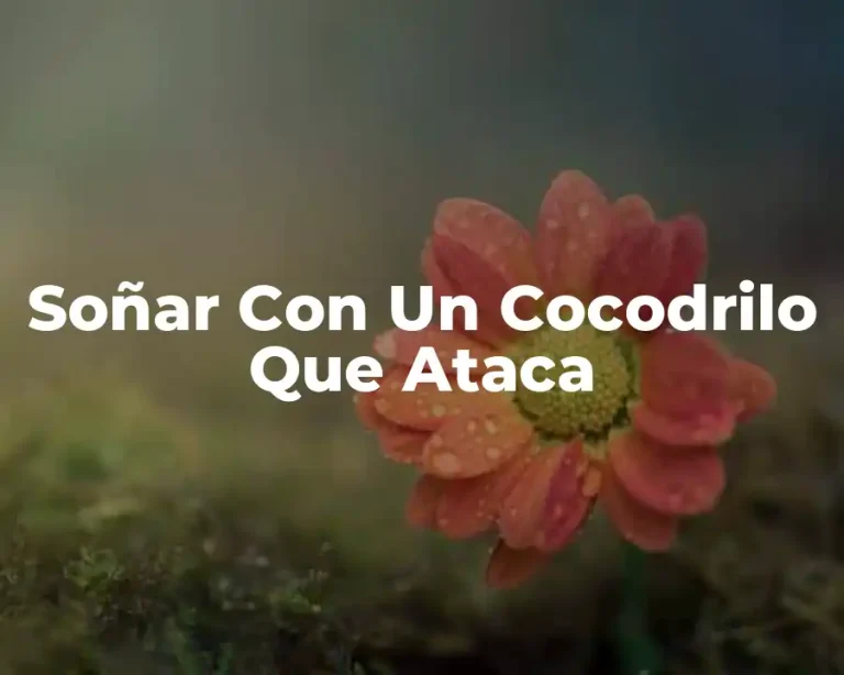 Soñar Con Un Cocodrilo Que Ataca