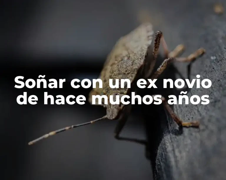 Soñar con un ex novio de hace muchos años