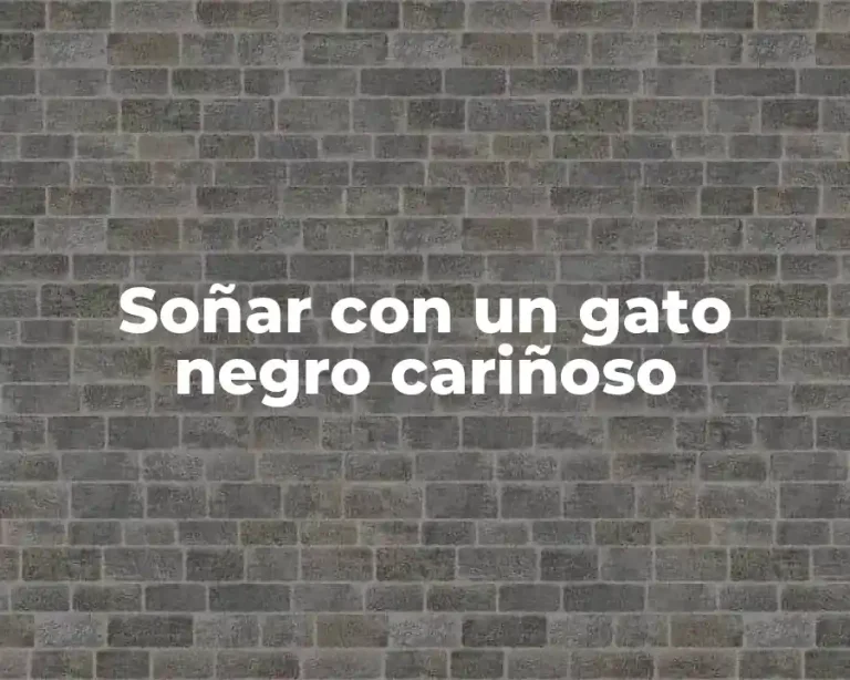Soñar con un gato negro cariñoso