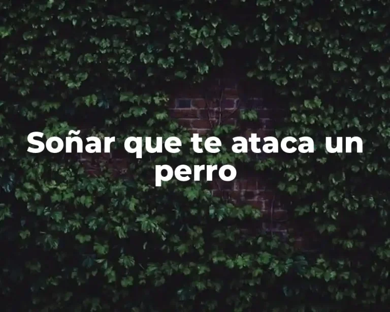 Soñar que te ataca un perro