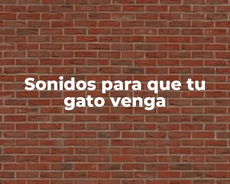 Sonidos para que tu gato venga