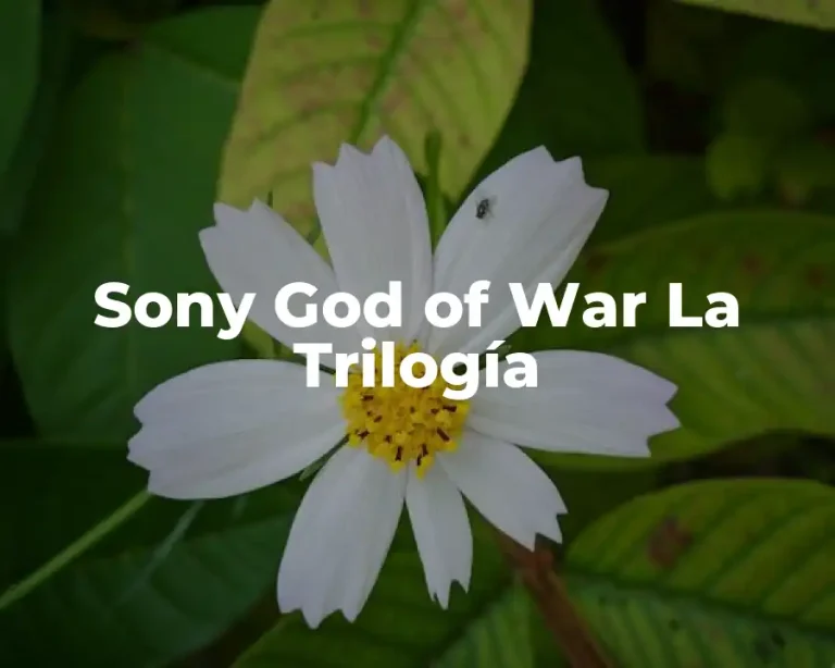 Sony God of War La Trilogía