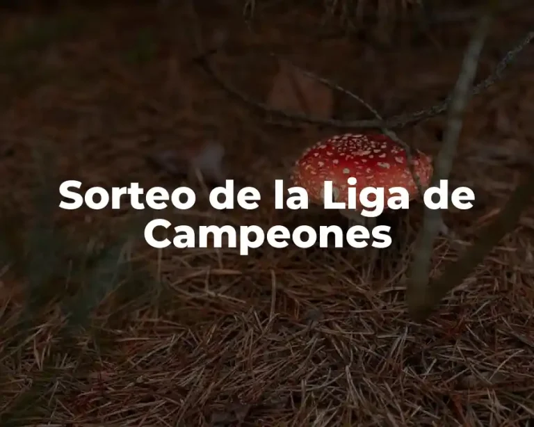 Sorteo de la Liga de Campeones
