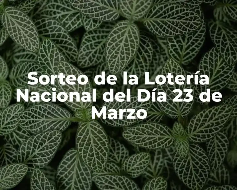 Sorteo de la Lotería Nacional del Día 23 de Marzo