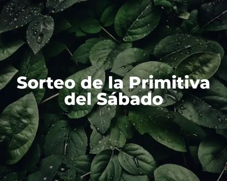 Sorteo de la Primitiva del Sábado