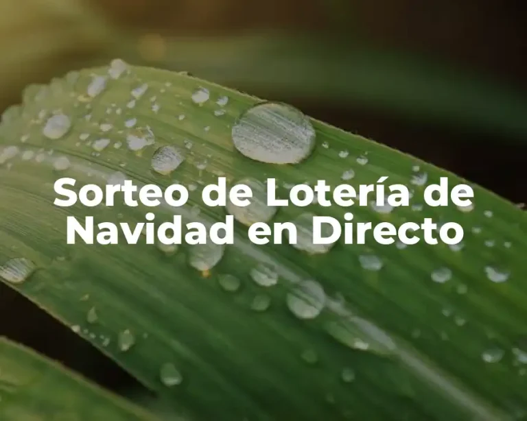Sorteo de Lotería de Navidad en Directo