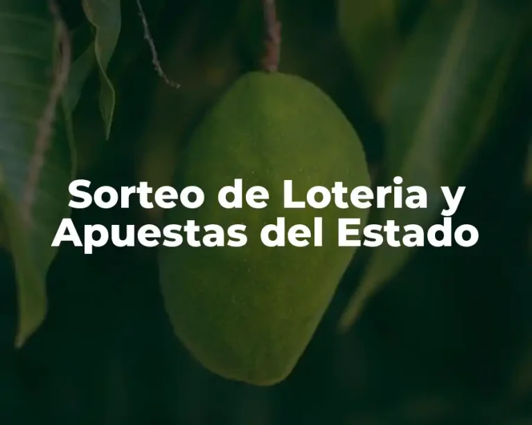 Sorteo de Loteria y Apuestas del Estado