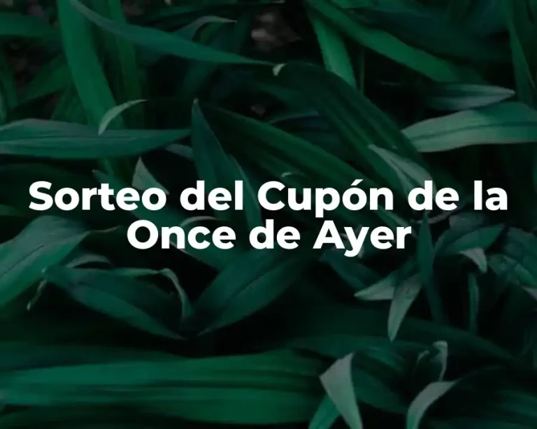 Sorteo del Cupón de la Once de Ayer