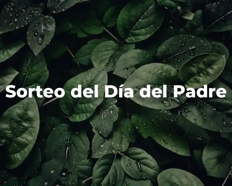 Sorteo del Día del Padre