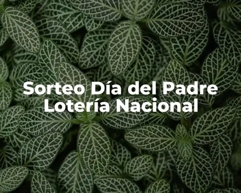 Sorteo Día del Padre Lotería Nacional
