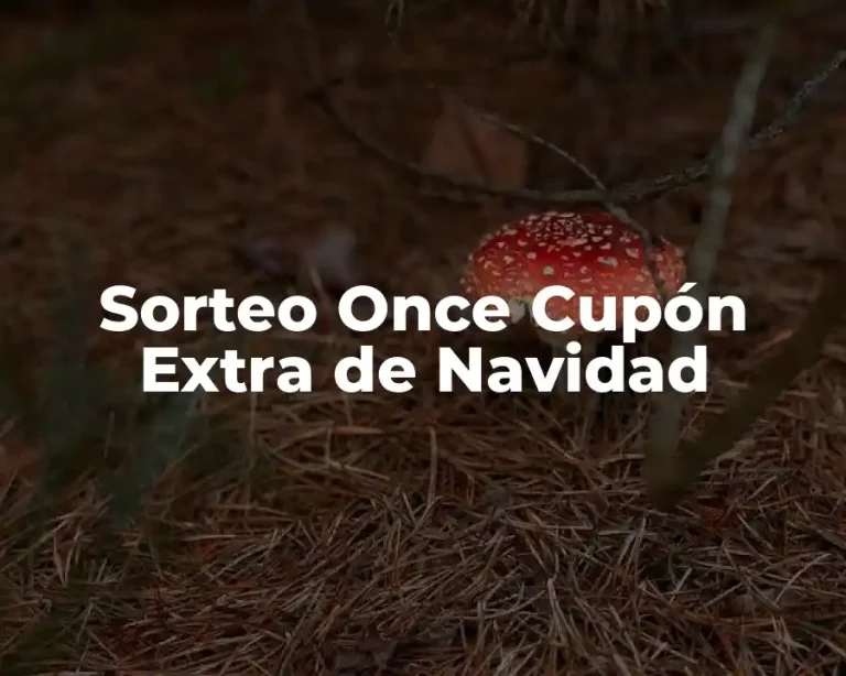 Sorteo Once Cupón Extra de Navidad