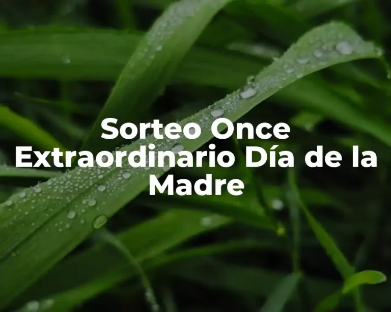 Sorteo Once Extraordinario Día de la Madre