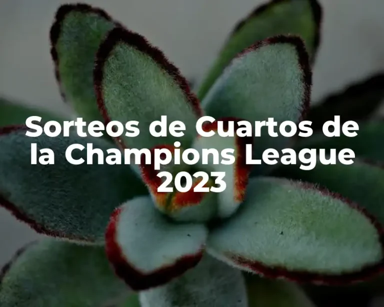 Sorteos de Cuartos de la Champions League 2023