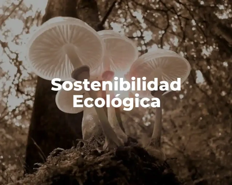 Sostenibilidad Ecológica