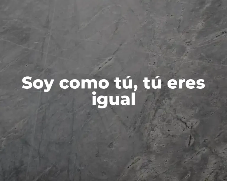 Soy como tú, tú eres igual